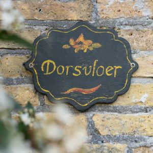 Dorsvloer 